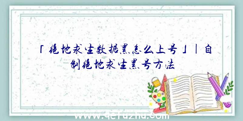 「绝地求生数据黑怎么上号」|自制绝地求生黑号方法